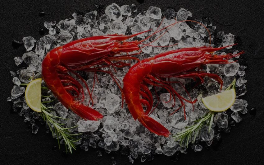 <p>Γαρίδες Carabineros</p>