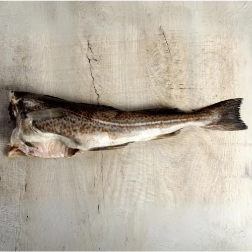 Norway Cod Headless