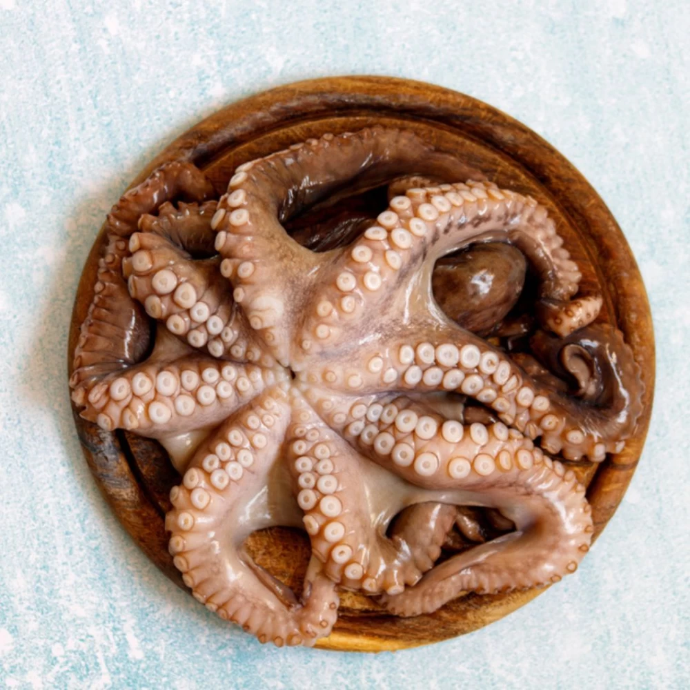 wholesale frozen octopus