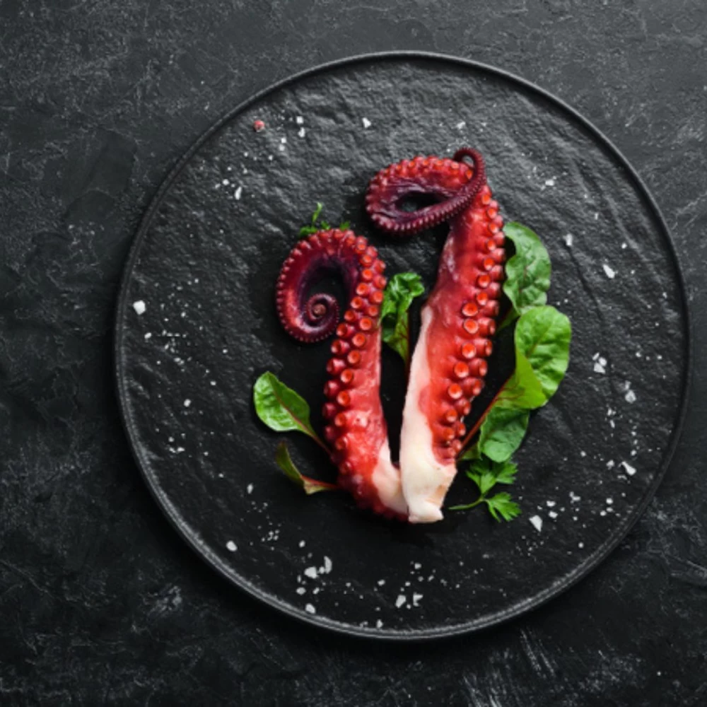 Octopus tentacle
